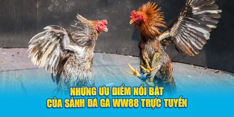 Góc phân tích chiến kê trước giờ giao đấu tại WW8